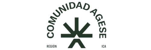 Comunidad AGESE — Región Ica